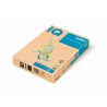 IQ color, A3/80g, 22/zlatá