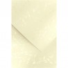 Ozdobný papír Liana ivory 220g, 20ks