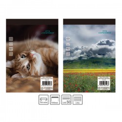 Blok 16054, A6/50 listů, linky, Concorde