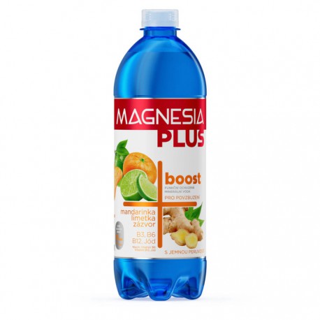 Magnesia Plus Boost 6 x 700 ml
