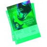 Zakládací obal závěsný A4 "U", PH101, hladký, zelený