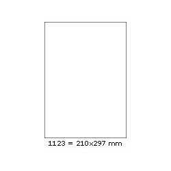 Etikety 210,0x297,0mm, R01331123, fluoresc.oranžové,100 arch