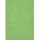 Karton DIP rec, A4/180g, 100 arc, zelený