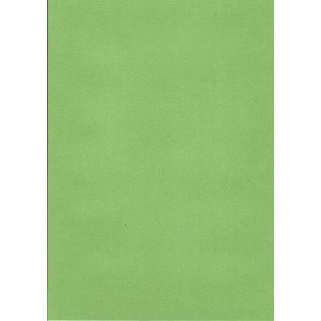 Karton DIP rec, A4/180g, 100 arc, zelený